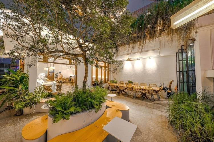 Quán cà phê ngoài trời với cây xanh và bàn ghế gỗ, không gian thư giãn và thoải mái cho khách hàng tận hưởng.