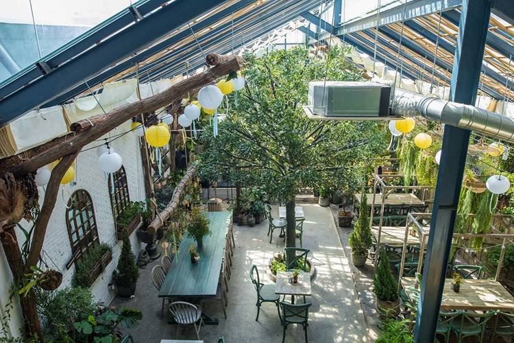 Quán cà phê kính hiện đại với cây xanh lớn bên trong, ánh sáng tự nhiên, trang trí đèn lồng xinh xắn.