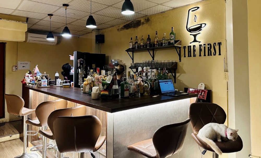 Khám Phá Top 10 Quán Cafe Giảng Võ Hấp Dẫn Nhất Tại Hà Nội 21 Quầy bar với nhiều chai rượu, ghế cao, và mèo trắng đang nằm trên ghế. Không gian ấm cúng, có ánh sáng dịu.