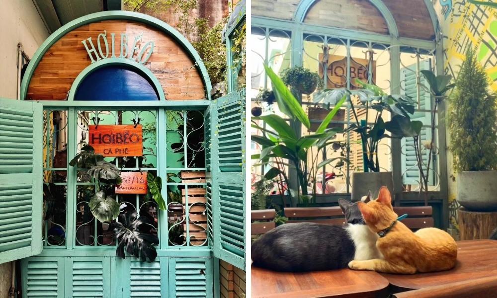 Khám Phá Quán Cafe Mèo Quận 1: Điểm Đến Lý Tưởng Cho Người Yêu Thú Cưng 7 Quán cà phê có cửa sổ xanh và bảng hiệu, bên trong có hai con mèo nằm trên bàn gỗ, xung quanh là cây xanh.