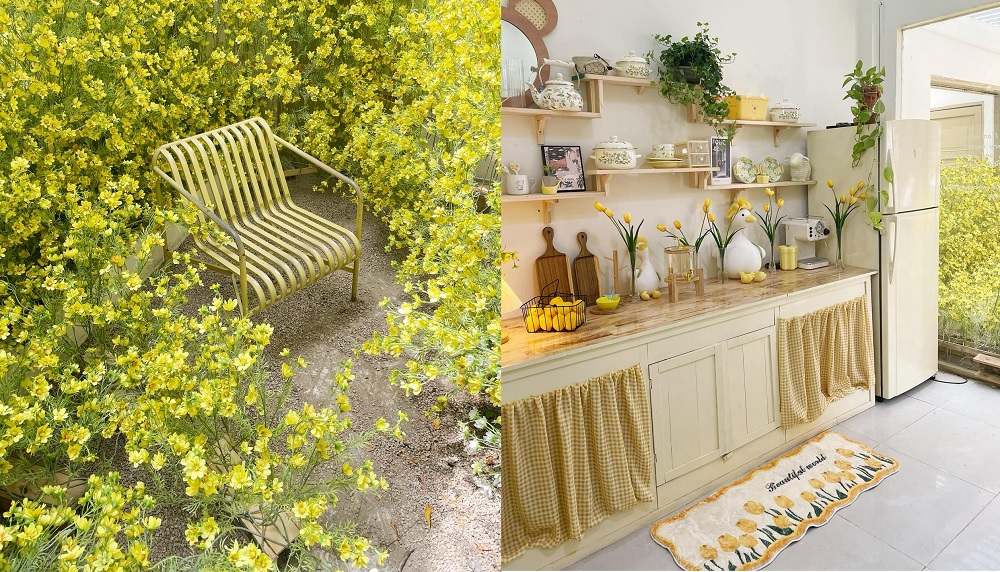 Khám Phá 12+ Quán Cafe Đẹp Hút Triệu View Tại TPHCM Năm 2025 6 Ghế kim loại giữa bụi hoa vàng; góc bếp với tủ, kệ và các vật dụng trang trí màu vàng và trắng.