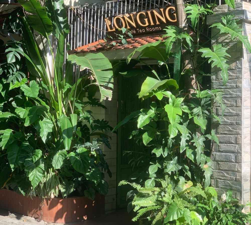 Khám Phá Top Quán Cafe Đẹp Ở Liễu Giai: Đồ Uống Ngon, Không Gian Thư Giãn 20 Mặt tiền quán cà phê với nhiều cây xanh bao quanh, biển hiệu "LONGING Café Tea Rooms" trên cửa.