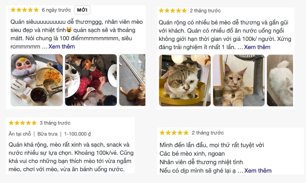 Khám Phá Quán Cafe Mèo Quận 1: Điểm Đến Lý Tưởng Cho Người Yêu Thú Cưng 4 Đánh giá của khách hàng về một quán cà phê mèo với hình ảnh các chú mèo dễ thương và không gian quán.