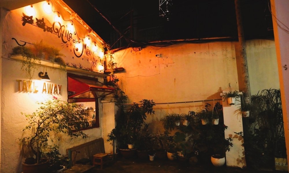 Khám Phá Quán Cafe Mèo Quận 1: Điểm Đến Lý Tưởng Cho Người Yêu Thú Cưng 5 Quán cà phê ngoài trời vào ban đêm với ánh sáng ấm áp, cây xanh và bảng hiệu "TAKE AWAY".