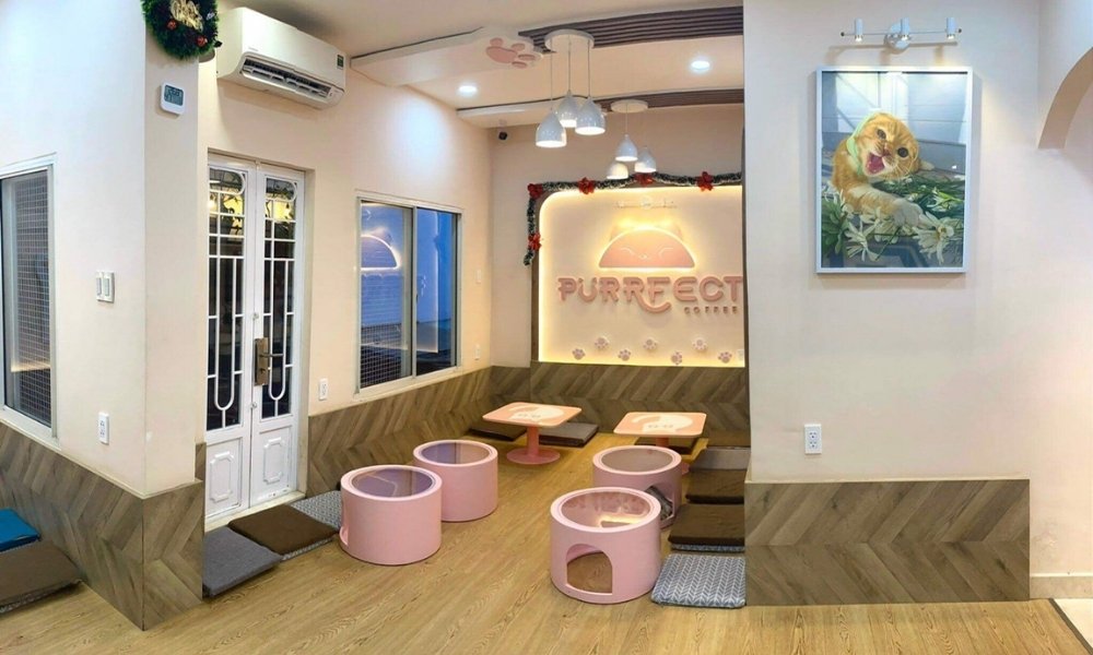 Khám Phá Quán Cafe Mèo Quận 1: Điểm Đến Lý Tưởng Cho Người Yêu Thú Cưng 11 Quán cà phê với nội thất sáng sủa, bàn ghế màu hồng và bức tranh mèo treo trên tường.