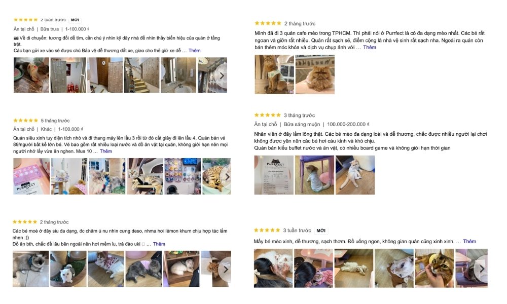 Khám Phá Quán Cafe Mèo Quận 1: Điểm Đến Lý Tưởng Cho Người Yêu Thú Cưng 12 Hình ảnh các đánh giá trực tuyến về một quán cà phê mèo, bao gồm ảnh mèo và không gian quán.