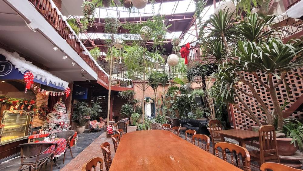 Khám Phá 12+ Quán Cafe Đẹp Ở Tây Sơn Với Đồ Uống Ngon 6 Không gian quán cà phê với cây xanh, bàn dài, và trang trí lễ hội, tạo cảm giác thoải mái và ấm cúng.