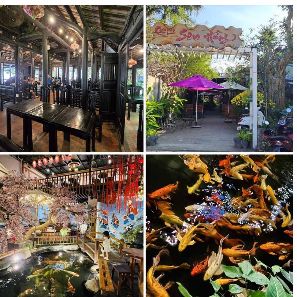 Top 5 Quán Cafe Cá Koi Đẹp Không Thể Bỏ Qua Tại Quy Nhơn 3 Bốn hình ảnh: quán cà phê cổ điển, lối vào với ô tím, nội thất trang trí hoa anh đào, và hồ cá koi.