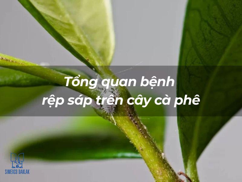 Cận cảnh một cành cây với rệp sáp trên thân, lá xanh tươi ở nền, có chữ và logo bên dưới.