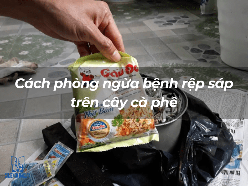 Một bàn tay cầm gói mì ăn liền, nền là sàn gạch với túi nilon và hộp kim loại.