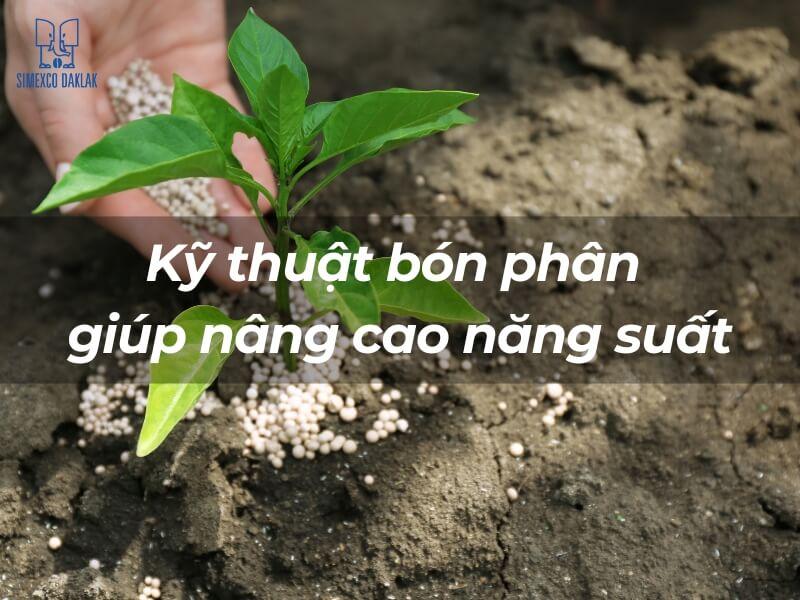 C&acirc;y non đang được b&oacute;n ph&acirc;n tr&ecirc;n nền đất, với d&ograve;ng chữ "Kỹ thuật b&oacute;n ph&acirc;n gi&uacute;p n&acirc;ng cao năng suất".