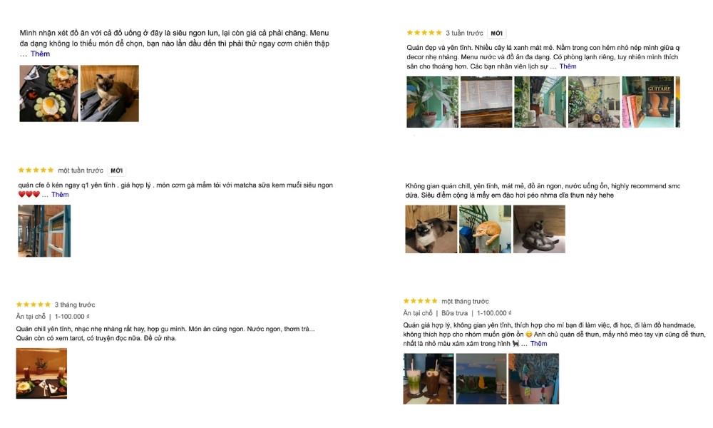 Khám Phá Quán Cafe Mèo Quận 1: Điểm Đến Lý Tưởng Cho Người Yêu Thú Cưng 8 Các hình ảnh đánh giá quán cà phê với món ăn, thức uống, không gian và trang trí bên trong quán.