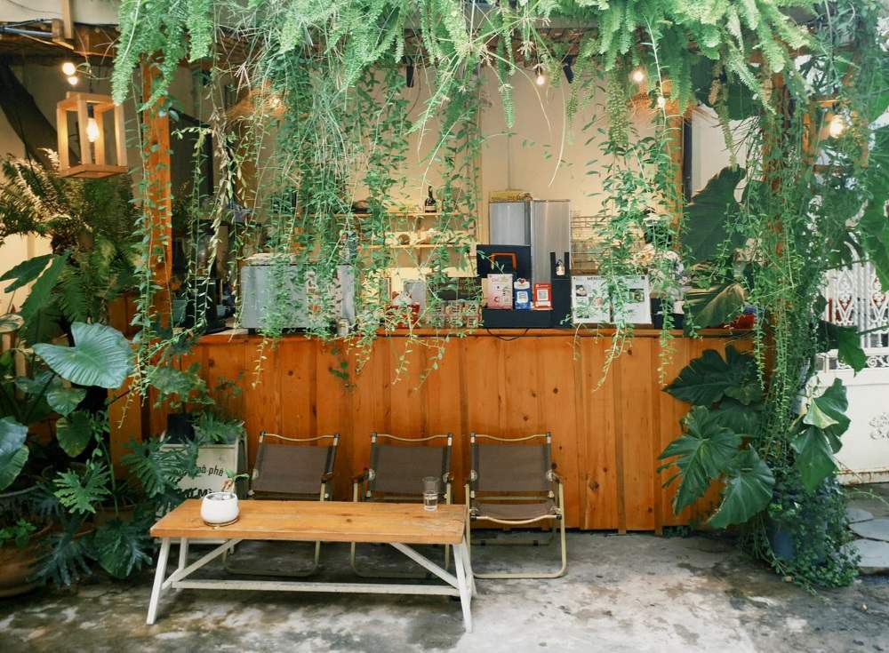 Khám Phá Những Quán Cafe Độc Lạ Thu Hút Giới Trẻ Tại Sài Gòn 7 Quán cà phê nhỏ với quầy gỗ, cây xanh treo xung quanh, bàn ghế đơn giản phía trước.