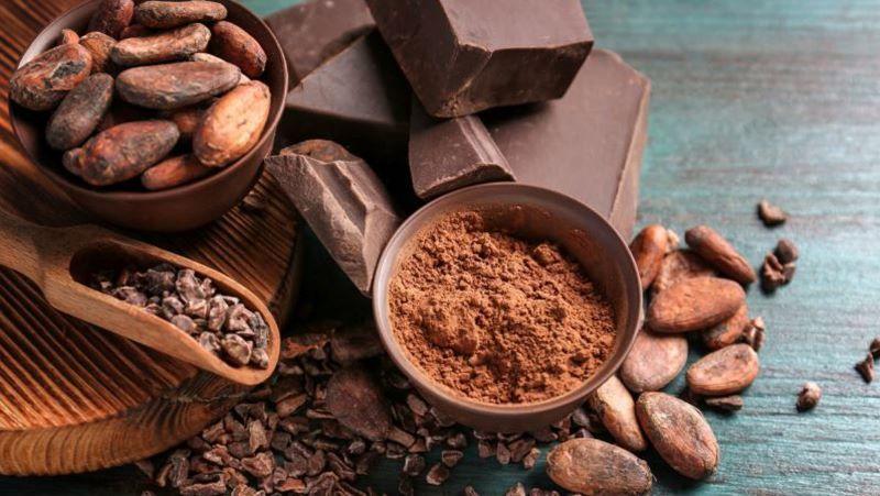 Các loại sản phẩm từ ca cao, gồm bột ca cao, hạt ca cao và sô cô la đen, trên nền gỗ màu xanh.