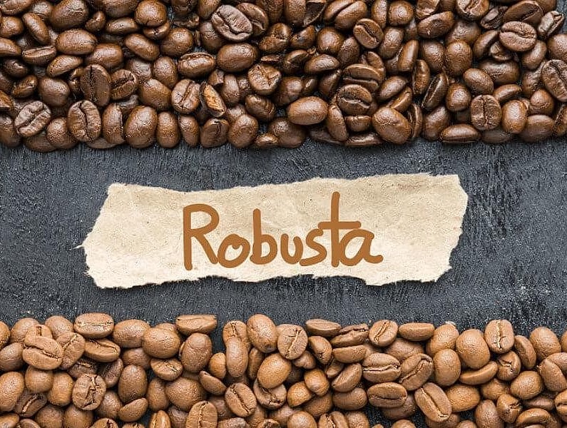 ca-phe-robusta-la-gi-1 Hạt cà phê xếp hàng trên nền đen, chữ "Robusta" trên giấy màu nâu nhạt ở giữa.