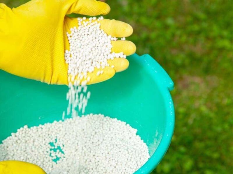 Đôi tay đeo găng vàng đang đổ hạt màu trắng từ tay vào xô nhựa màu xanh.