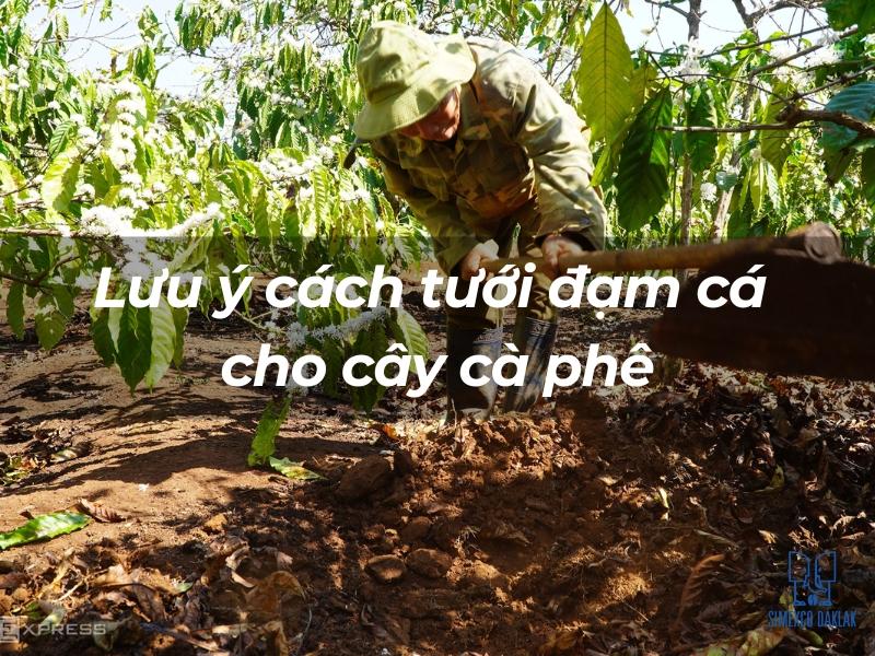 Người n&ocirc;ng d&acirc;n đang chăm s&oacute;c c&acirc;y c&agrave; ph&ecirc; với xẻng, xung quanh l&agrave; c&acirc;y cối xanh tươi trong vườn.