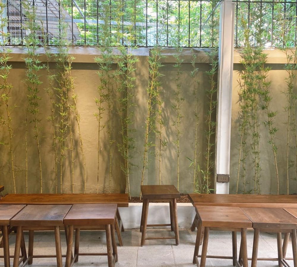 Khám Phá Top Quán Cafe Đẹp Ở Liễu Giai: Đồ Uống Ngon, Không Gian Thư Giãn 8 Hàng ghế gỗ đặt gần tường xi măng với cây tre trang trí phía sau, ánh sáng tự nhiên chiếu vào từ trên cao.