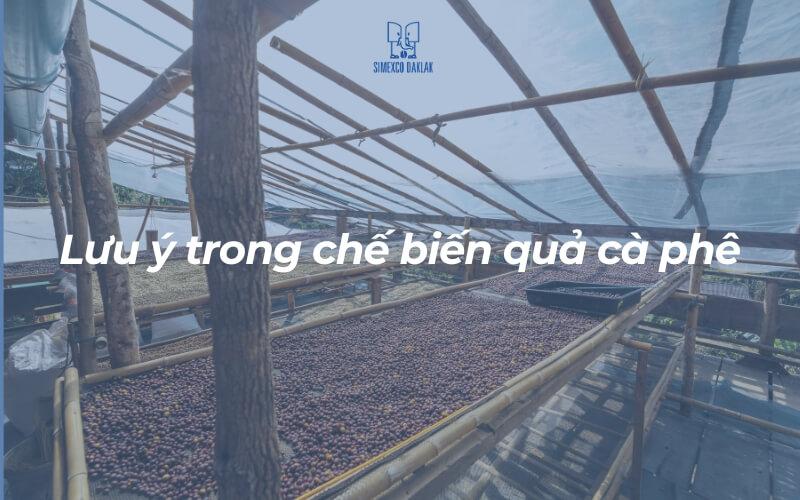 Khu vực phơi khô quả cà phê dưới mái che, với nhiều khay đựng quả cà phê trải đều trên giàn gỗ.