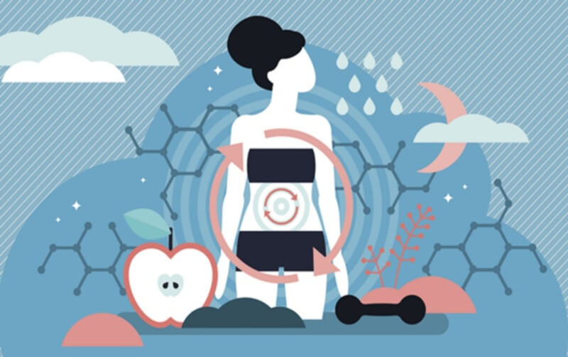 Hình minh họa cơ thể người với biểu tượng mũi tên, quả táo, tạ và các phân tử hóa học trên nền xanh.