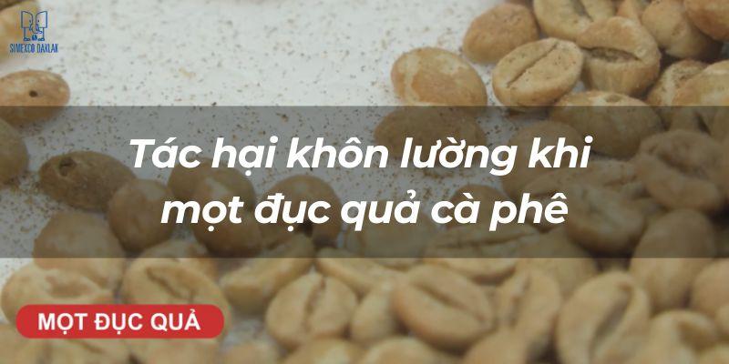 Hạt cà phê chưa rang nằm trên bề mặt, có dòng chữ tiếng Việt mô tả nội dung.