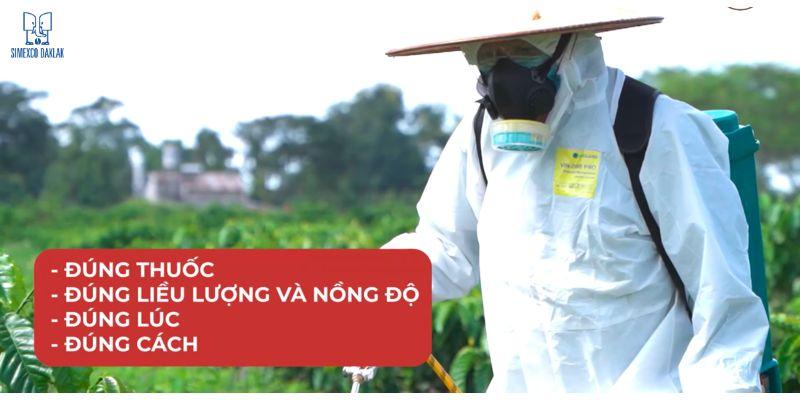 Người mặc đồ bảo hộ và mặt nạ, sử dụng bình xịt trong vườn cây xanh; bảng chỉ dẫn cách dùng thuốc bên trái.