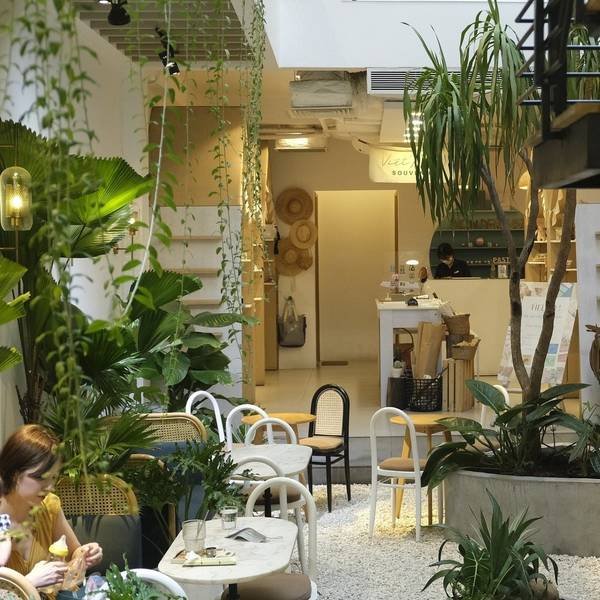Qu&aacute;n c&agrave; ph&ecirc; với c&acirc;y xanh, b&agrave;n ghế v&agrave; quầy phục vụ. Một người đang ngồi thư gi&atilde;n.