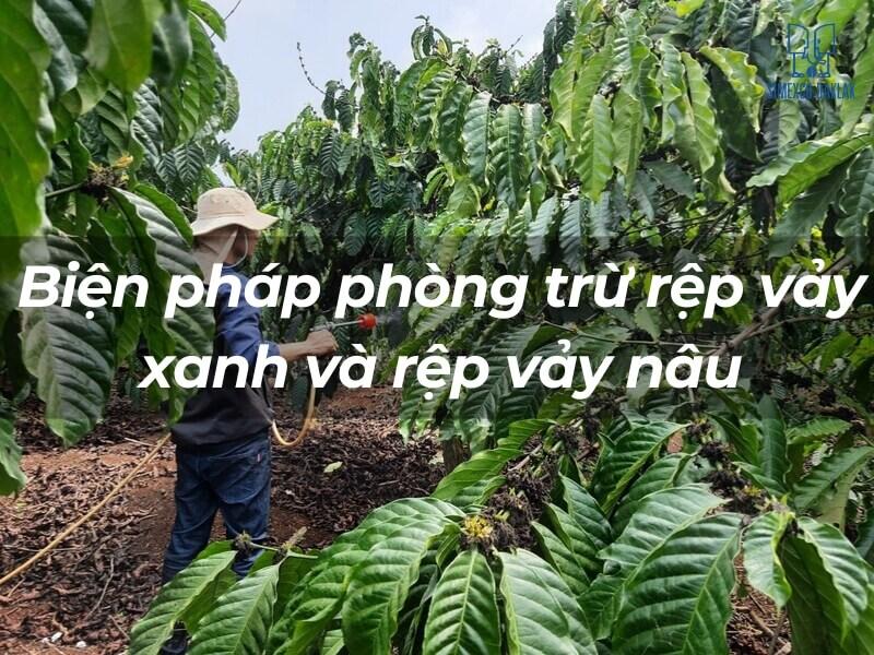 Người n&ocirc;ng d&acirc;n đang phun thuốc bảo vệ thực vật trong vườn c&acirc;y xanh tốt dưới &aacute;nh s&aacute;ng tự nhi&ecirc;n.