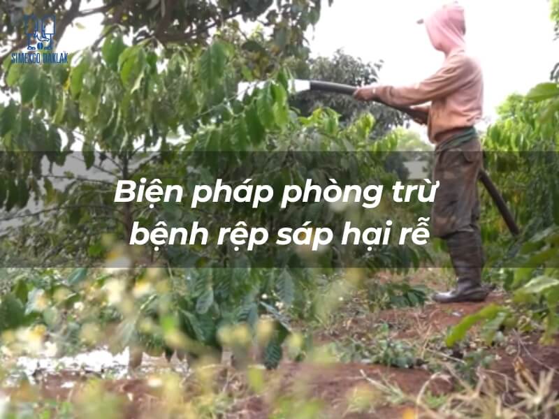 Người l&agrave;m vườn đang phun thuốc bảo vệ c&acirc;y xanh, với d&ograve;ng chữ về biện ph&aacute;p ph&ograve;ng trừ rệp s&aacute;p hại rễ.