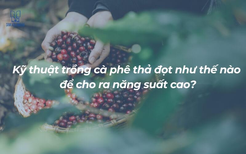 Đ&ocirc;i tay thu hoạch quả c&agrave; ph&ecirc; ch&iacute;n đỏ trong giỏ tre, được bao quanh bởi l&aacute; xanh tươi.