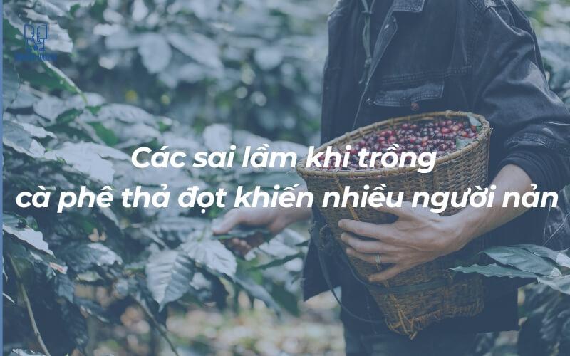 Người cầm giỏ đầy tr&aacute;i c&agrave; ph&ecirc; ch&iacute;n trong vườn, xung quanh l&agrave; nhiều c&acirc;y xanh tươi tốt.