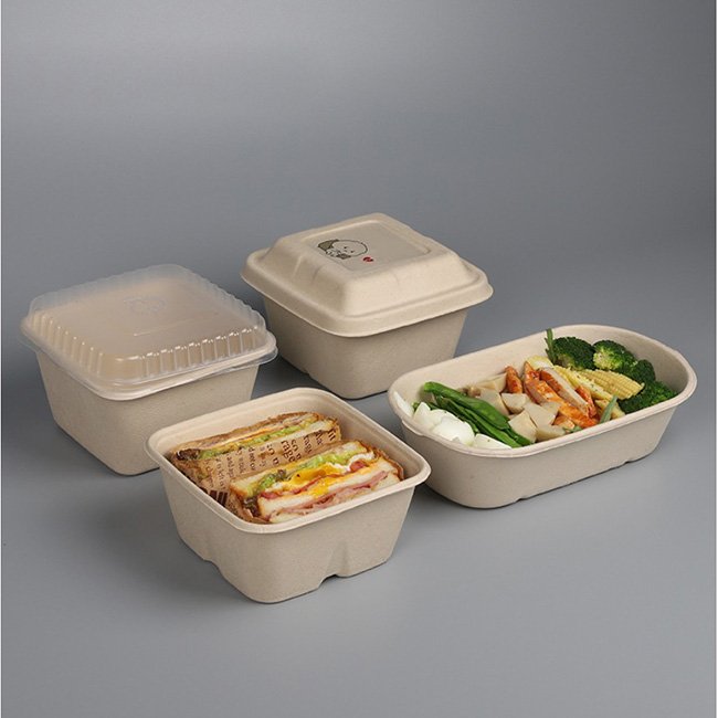 Hộp đựng thức ăn bằng b&igrave;a cứng, một số c&oacute; nắp đậy, chứa c&aacute;c m&oacute;n ăn kh&aacute;c nhau, b&agrave;y tr&ecirc;n nền x&aacute;m.