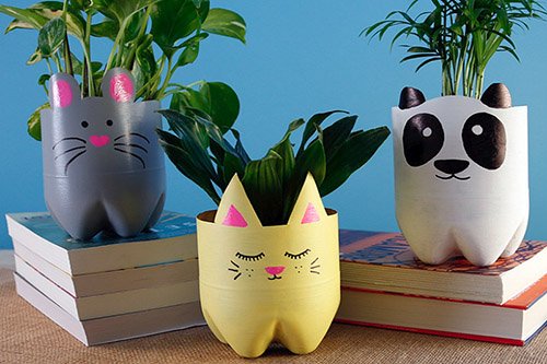 tai-che-chai-nhua-thanh-chau-hoa Chậu cây tái chế từ chai nhựa, trang trí hình mèo và gấu trúc, đặt trên sách, nền xanh.