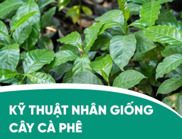 Anh chup man hinh 2025 08 29 202446