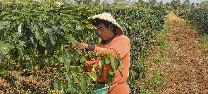 Anh chup man hinh 2025 08 29 220246