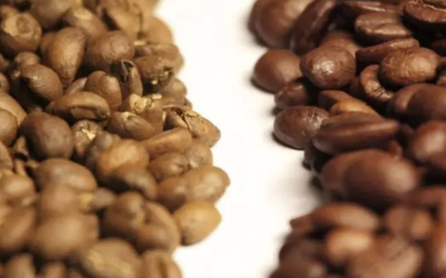 Khám phá công thức cà phê tuyệt đỉnh: Bí quyết bùng nổ doanh thu không thể cưỡng lại! 8 Hạt cà phê chưa rang bên trái và hạt cà phê đã rang bên phải trên nền trắng.