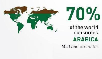 Bản đồ thế giới với thông tin 70% người tiêu thụ cà phê Arabica, mô tả loại cà phê nhẹ và thơm.