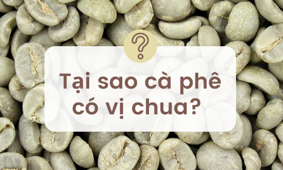 Anh chup man hinh 2025 08 30 232251