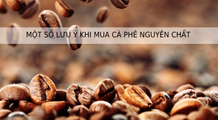 Hạt c&agrave; ph&ecirc; n&acirc;u đang rơi, ti&ecirc;u đề "Một số lưu &yacute; khi mua c&agrave; ph&ecirc; nguy&ecirc;n chất" ph&iacute;a tr&ecirc;n.