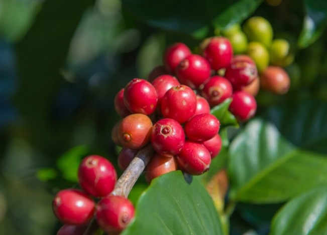 Anh chup man hinh 2025 08 31 001029