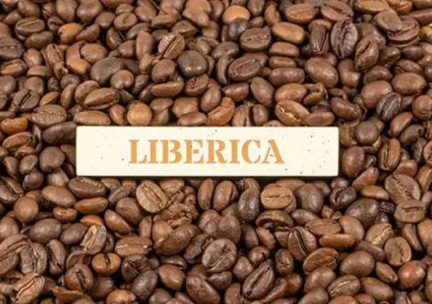 Anh chup man hinh 2025 08 31 002019