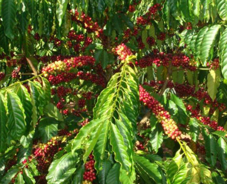 Anh chup man hinh 2025 08 31 004853