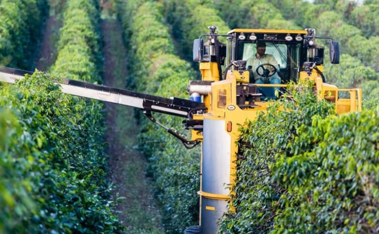 M&aacute;y m&oacute;c thu hoạch đang hoạt động giữa c&aacute;c h&agrave;ng c&acirc;y xanh trong một trang trại.