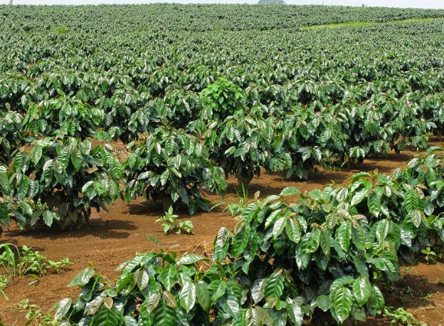 Anh chup man hinh 2025 09 01 005230