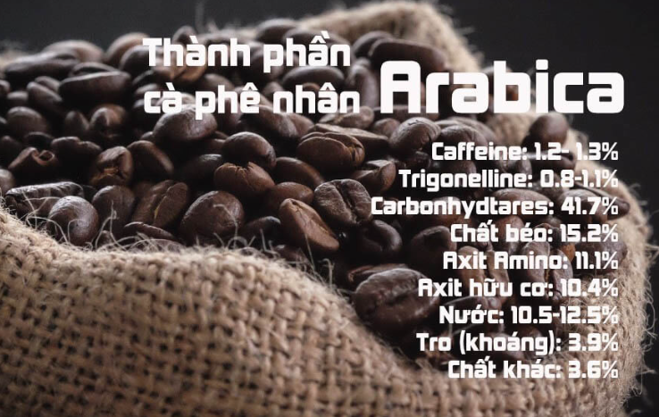 H&igrave;nh ảnh hạt c&agrave; ph&ecirc; Arabica trong t&uacute;i vải, k&egrave;m th&ocirc;ng tin th&agrave;nh phần h&oacute;a học chi tiết b&ecirc;n cạnh.