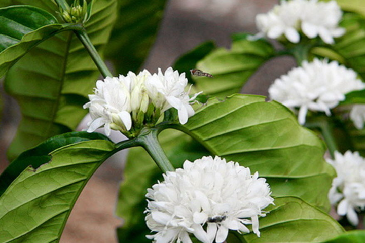 Anh chup man hinh 2025 09 01 171334