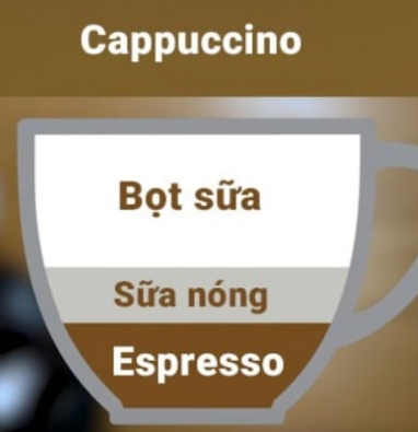 Sơ đồ cấu tạo cappuccino với ba lớp: bọt sữa, sữa nóng và espresso, minh họa trong cốc màu nâu.