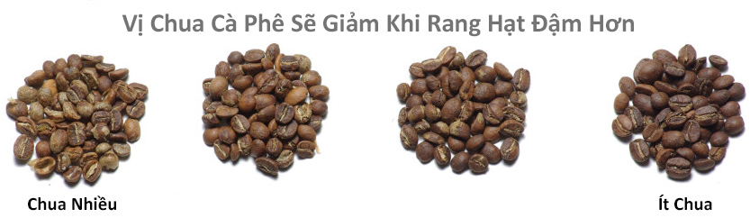 Bốn đống hạt cà phê với mức độ rang khác nhau từ nhạt đến đậm, thể hiện mức độ chua giảm dần.