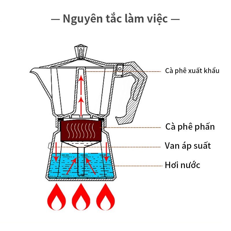 Khám Phá Bí Ẩn Của Moka Pot: Hành Trình Đầy Mê Hoặc Với Bình Pha Cà Phê Huyền Thoại 6 Sơ đồ cắt ngang mô phỏng hoạt động của ấm pha cà phê, với các phần: nước, cà phê và hơi nước.