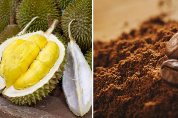 Bí Quyết Tăng Gấp Đôi Năng Suất: Kỹ Thuật Trồng Sầu Riêng Xen Cà Phê 11 Hình ảnh trái sầu riêng bổ đôi bên trái và bột cà phê cùng hạt cà phê bên phải trên nền gỗ.